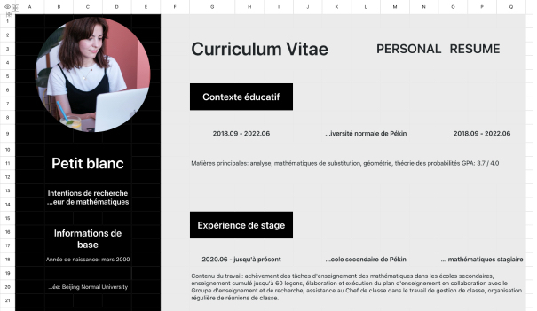 CV de professeur de mathématiques